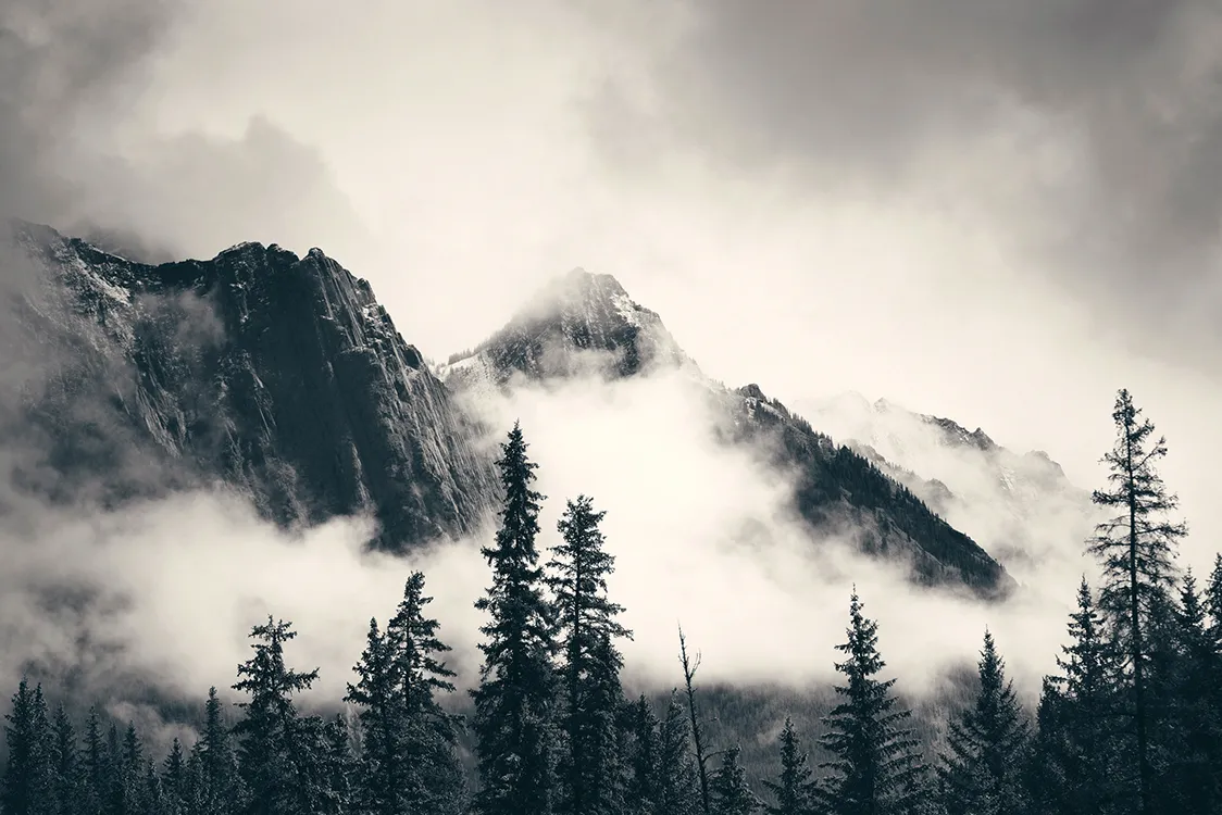 #00038 Misty Mountain.jpg